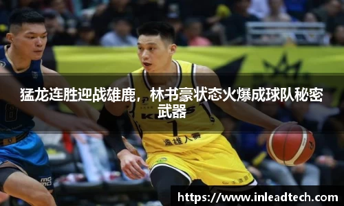 猛龙连胜迎战雄鹿，林书豪状态火爆成球队秘密武器